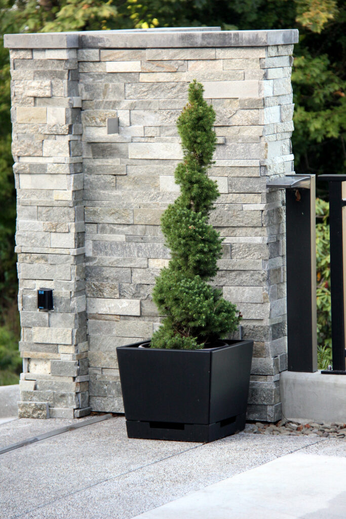Cooke Santa Cruz Planter