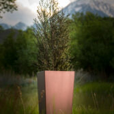 Custom stainless steel planters