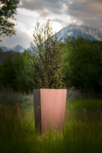 Custom stainless steel planters