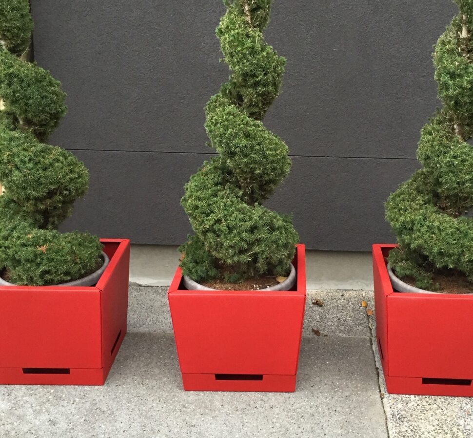 Cooke Santa Cruz Planter