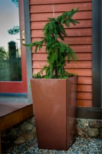 Parisian Planter