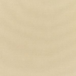 CANVAS ANTIQUE BEIGE 5422-0000