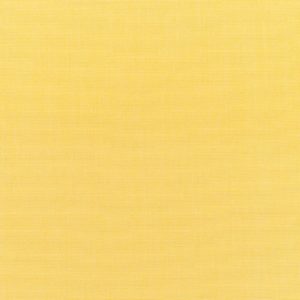 CANVAS BUTTERCUP 5438-0000