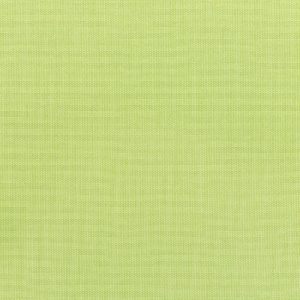 CANVAS PARROT 5405-0000