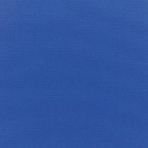 CANVAS TRUE BLUE 5499-0000