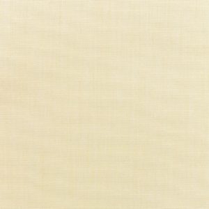 CANVAS VELLUM 5498-0000