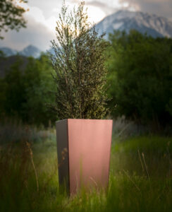 Cooke Newport Planter